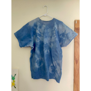 VINTAGE CHAMPION Tie Dye Short Sleeve Sweatshirt
